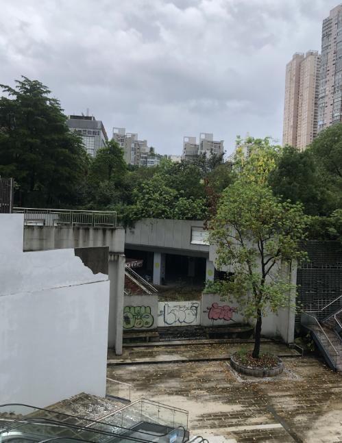杂草丛生！福州市中心这座商场已荒废多年[惊呆]

日前，有网友发布了一组位于福州