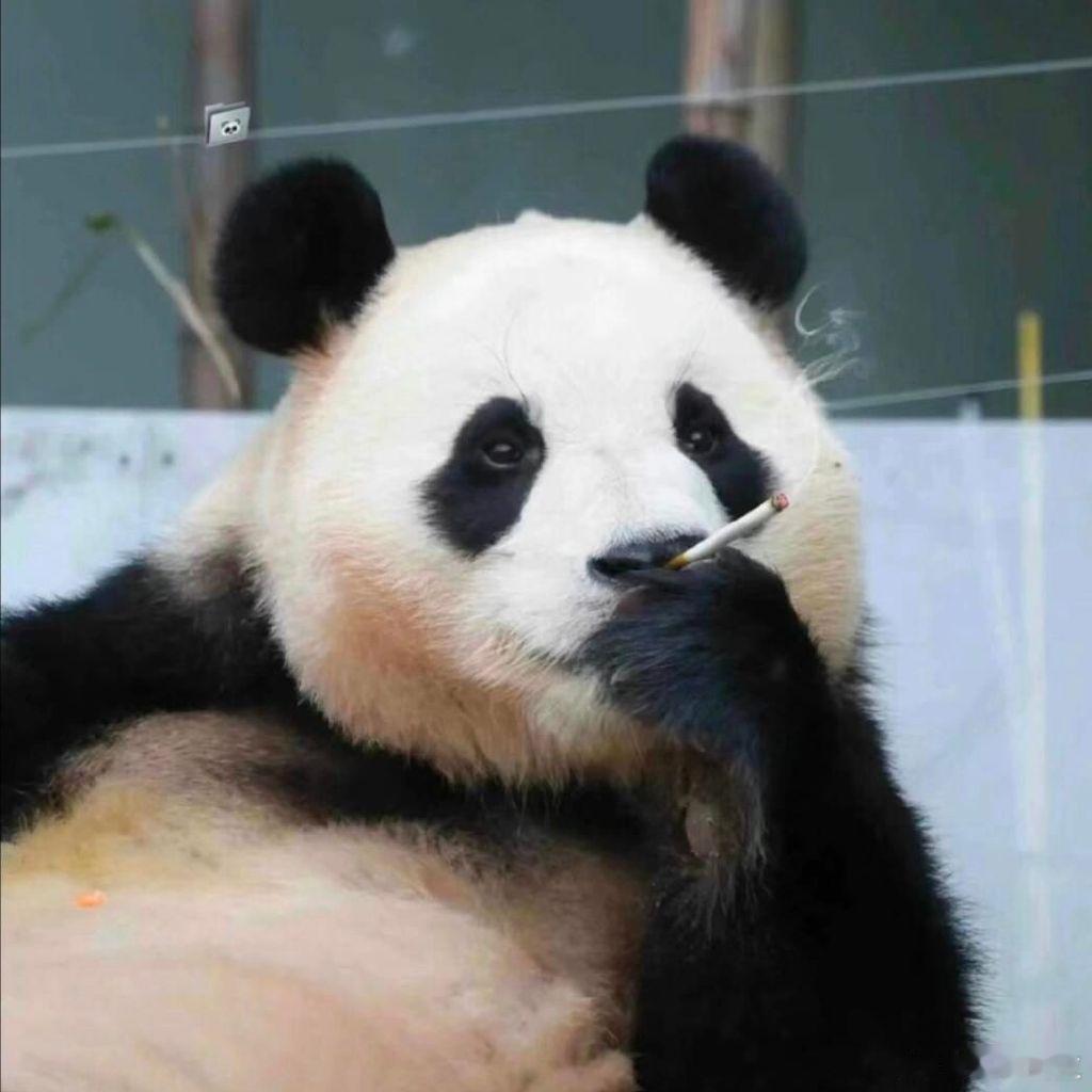 早上好呀，朋友们[doge][doge] 