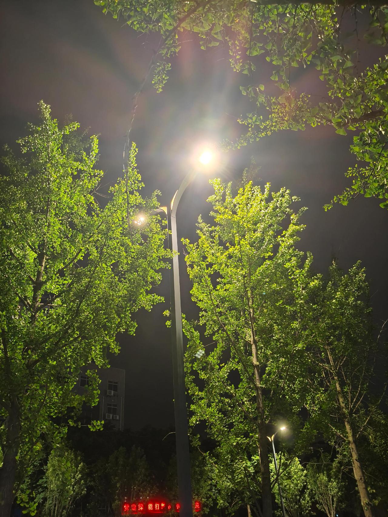 下辈子我们不要离这么远了。
不用隔着屏幕分享日常，不用攒几个月积蓄奔赴一场短暂相