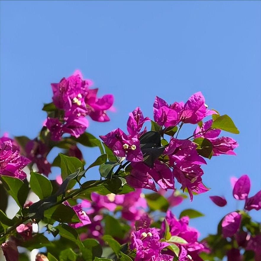 12月4日，南宁迎来新的主要负责同志。
 
该市是面向东盟国家的开放门户，是华南