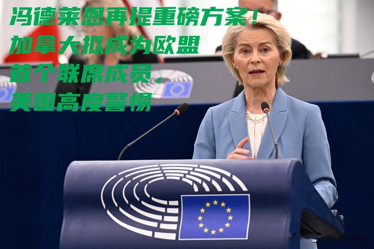 直接撬美国后院！冯德莱恩再次抛出重磅提议，加拿大要当欧盟首个联席成员
 
蒙特利