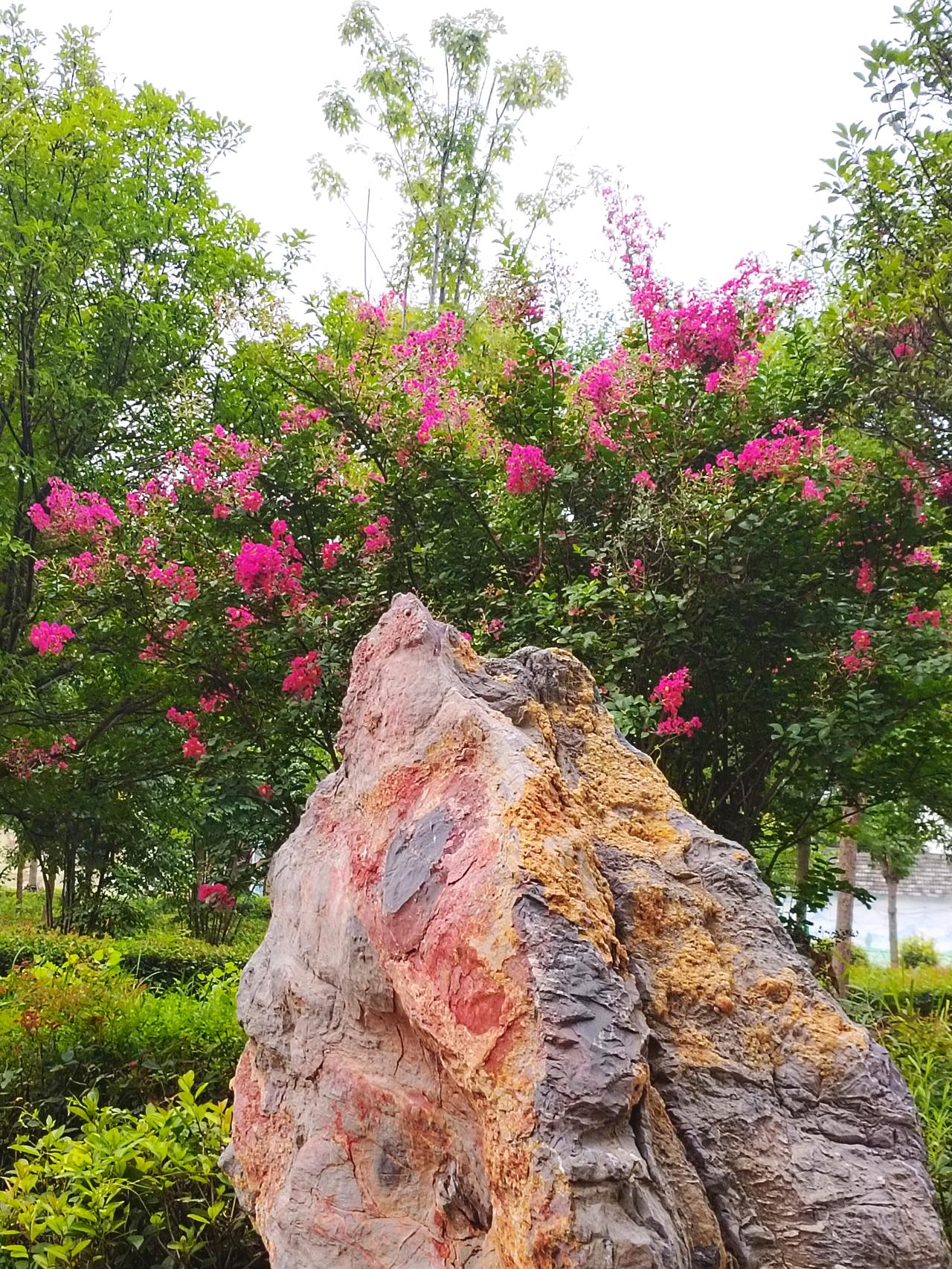 今天早晨去公园散步锻炼身体，看到立秋后的公园美景，拿起手机随手拍了几张照片，与大