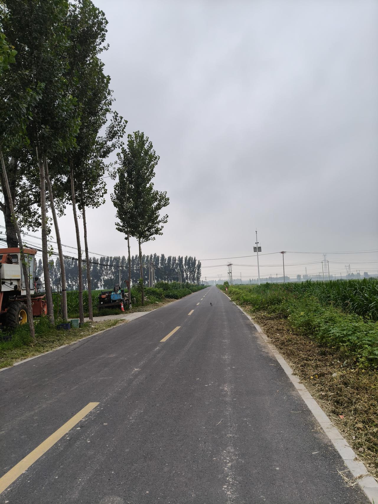 今天的天气比较沉闷，微风中带有闷热，不舒服，都是这雨给闹的，估计这雨也就这样了，
