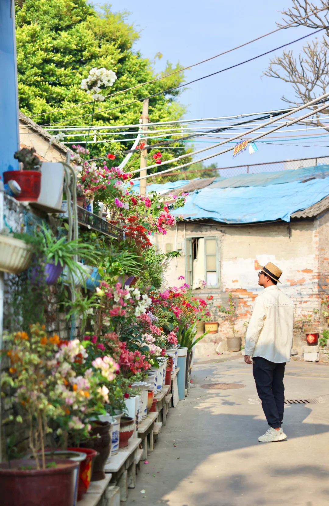 有风的地方就藏在广州老社区里，惬意又美好