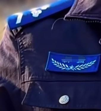 辅警辞职时，家里人强烈反对，主要是从当下就业环境考虑这份工作。他们操心的可不只是