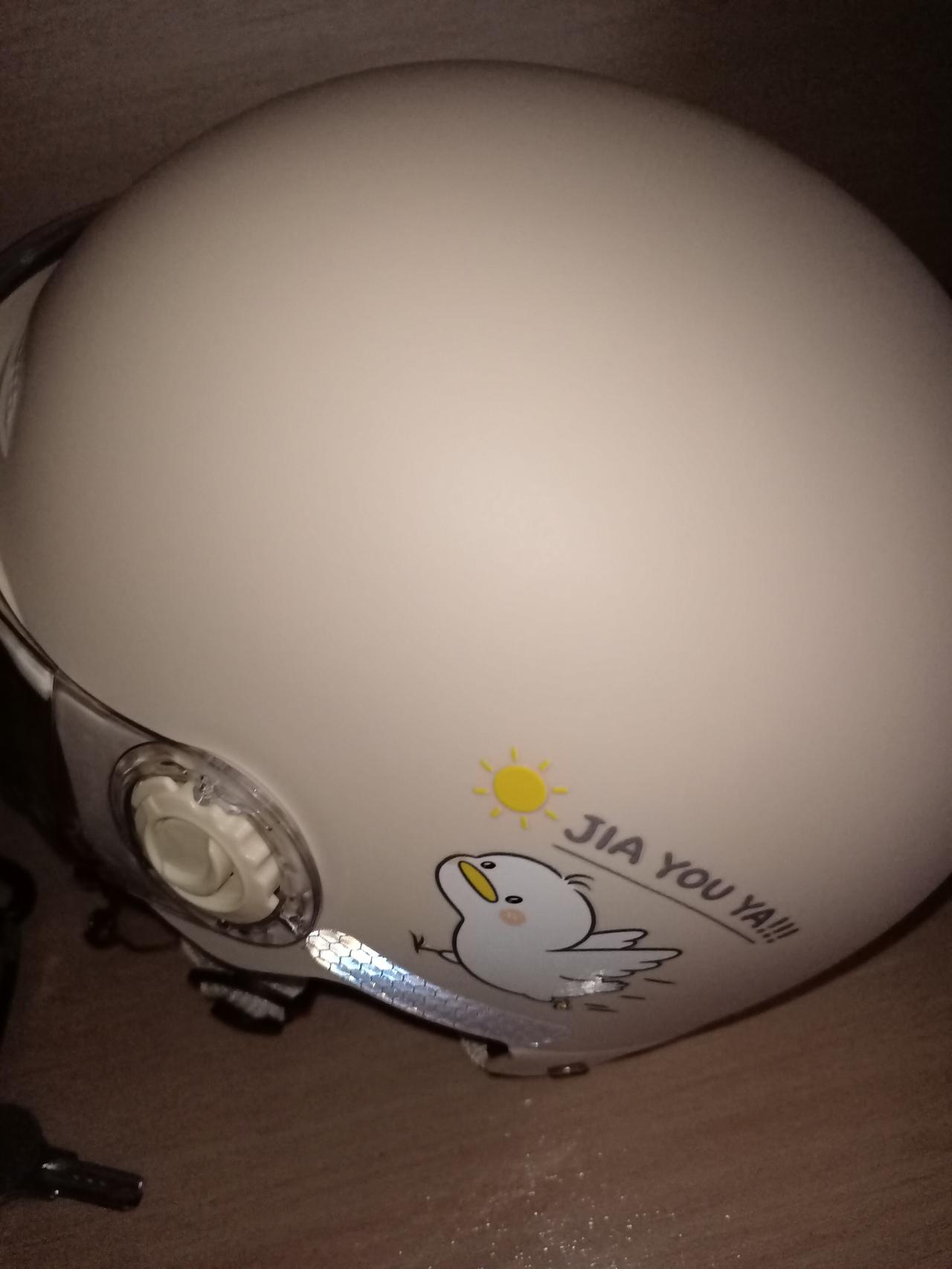 买的电动车安全帽和锁到货了。
    出去自驾游了近一个月，回来骑电车发现放在前