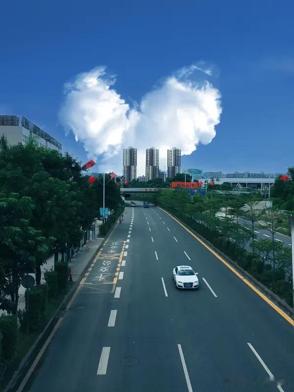 你知道的什么路最难走世间万般路，最难走的莫过于“心路”。它没有清晰的轨迹与路标，