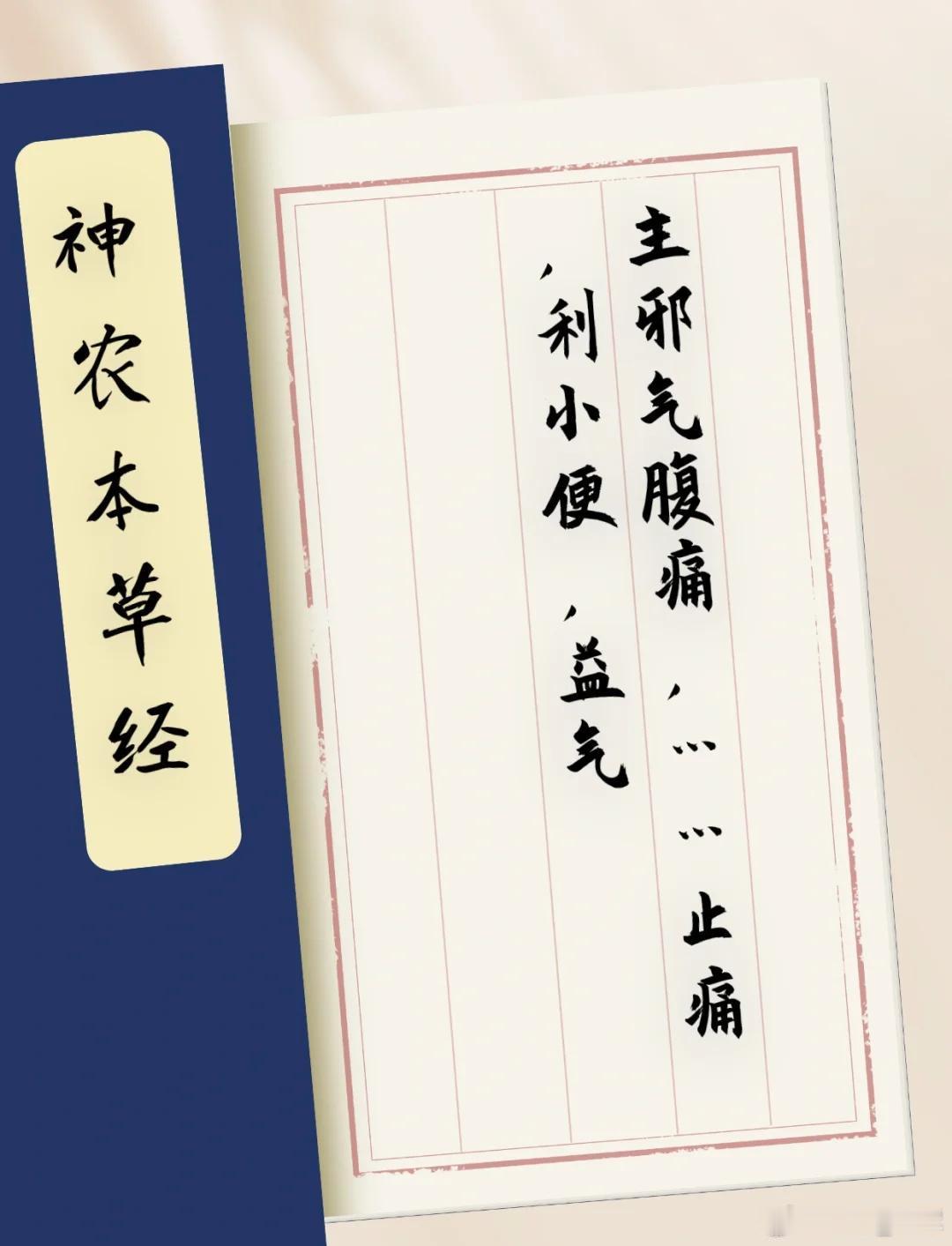 敦煌《辅行诀》二十五味药精中，白芍被称作金中土，是酸味金药里独具土德的一味。酸本
