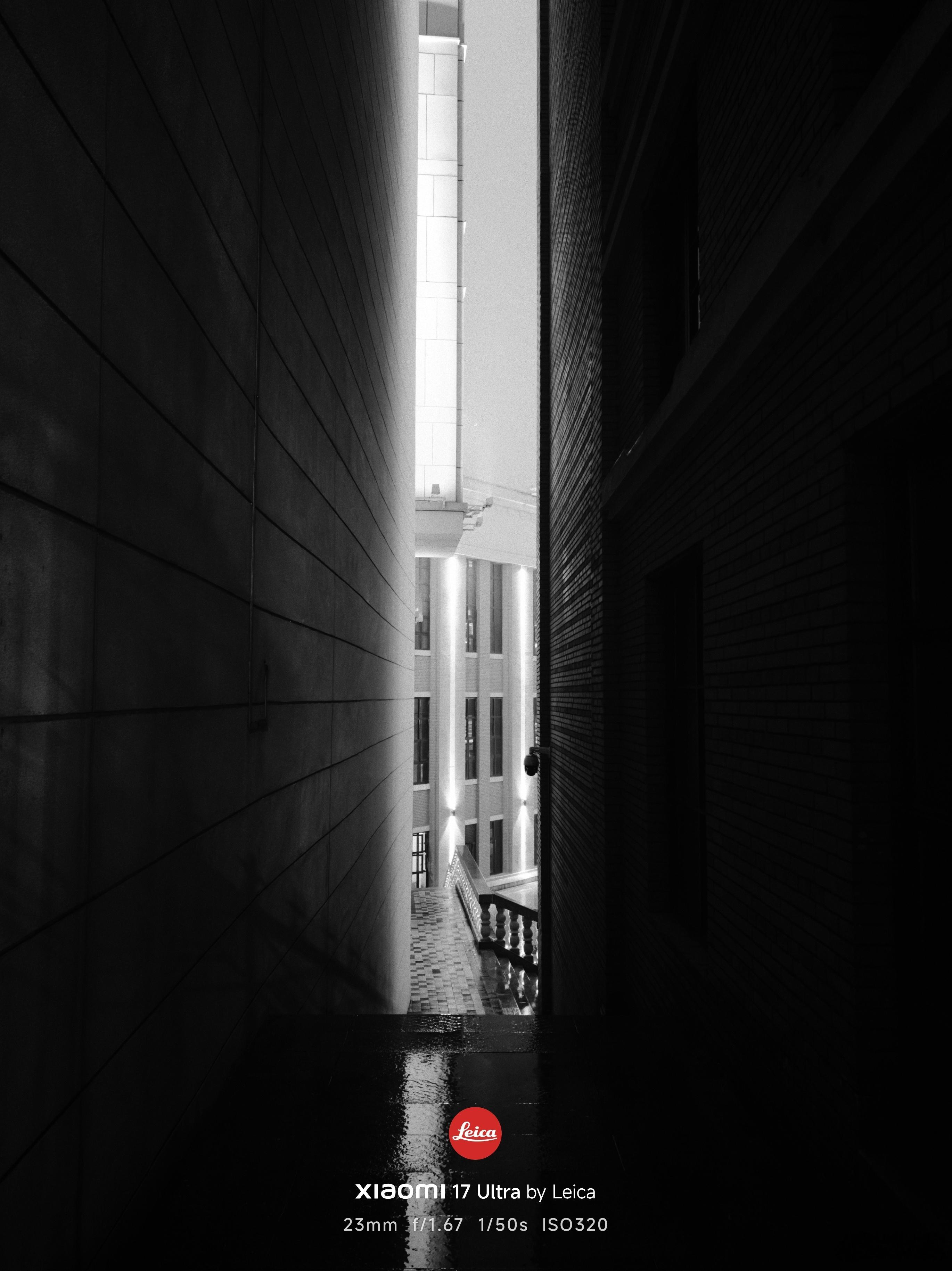 每天早起打卡早上好，2025年的最后三天。 