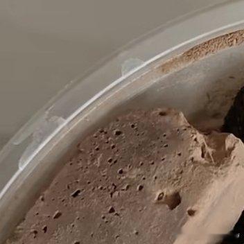 吃土了要流量没流量，要收益没收益，实时也没