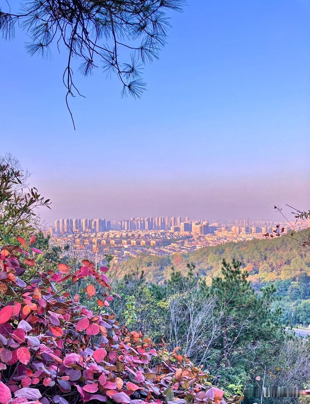 《晴小雪》

季到小雪天却晴，
岭上放眼城景明。
群楼冲天接云热，
那见飘雪红叶