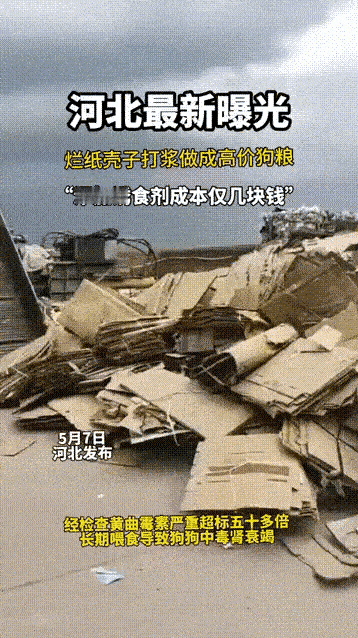 纸壳子做狗粮，这也太缺德了！家里养狗的朋友们要注意了，有些花高价买来的狗粮，不仅