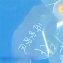 不要下雨 吹吹风 再吹吹风太可爱啦啊啊啊啊 