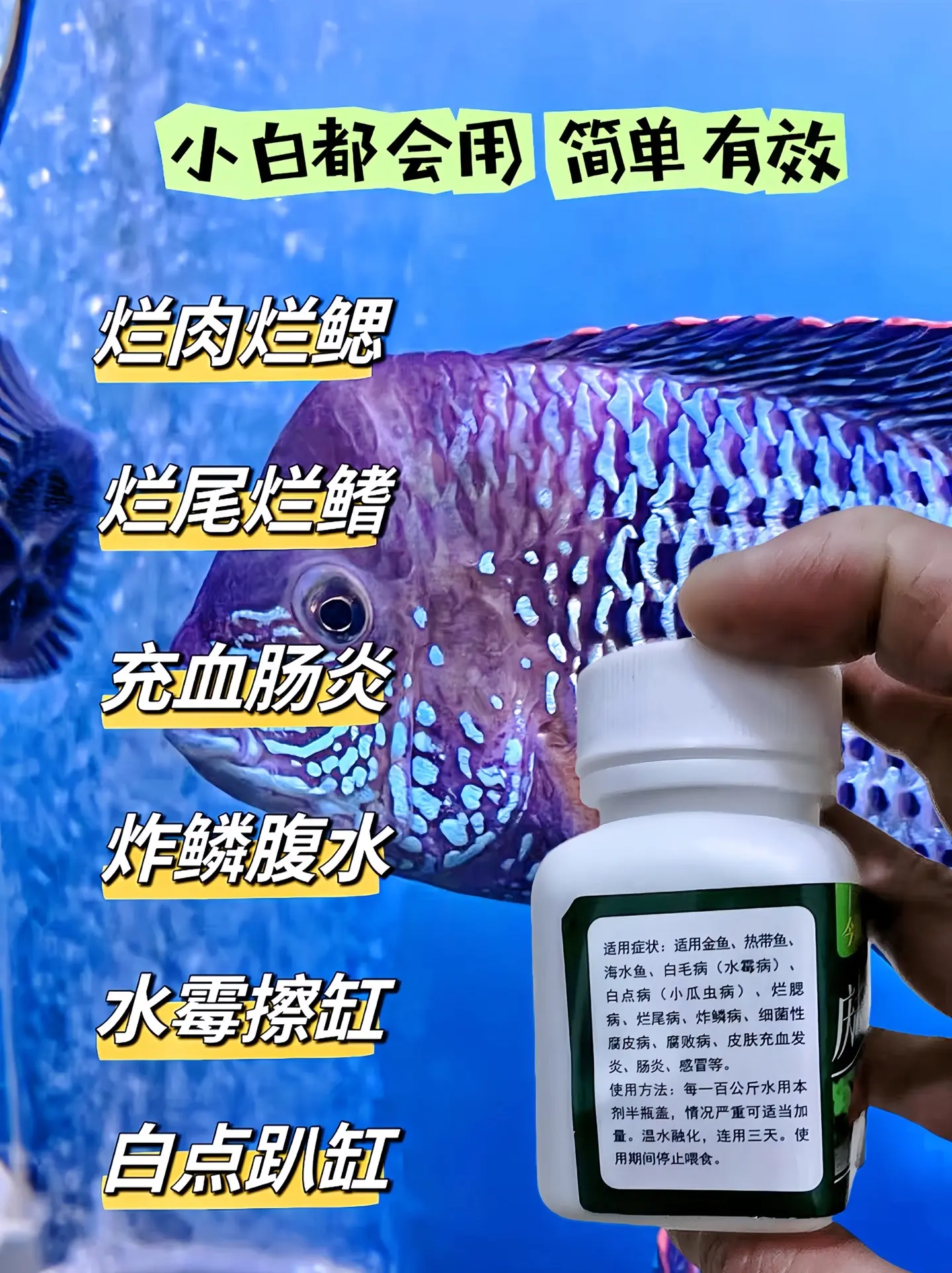 鱼儿生病了怎么办，快试试庆大霉素，鱼身充血白毛白点烂尾烂鳃炸麟蒙眼趴各...