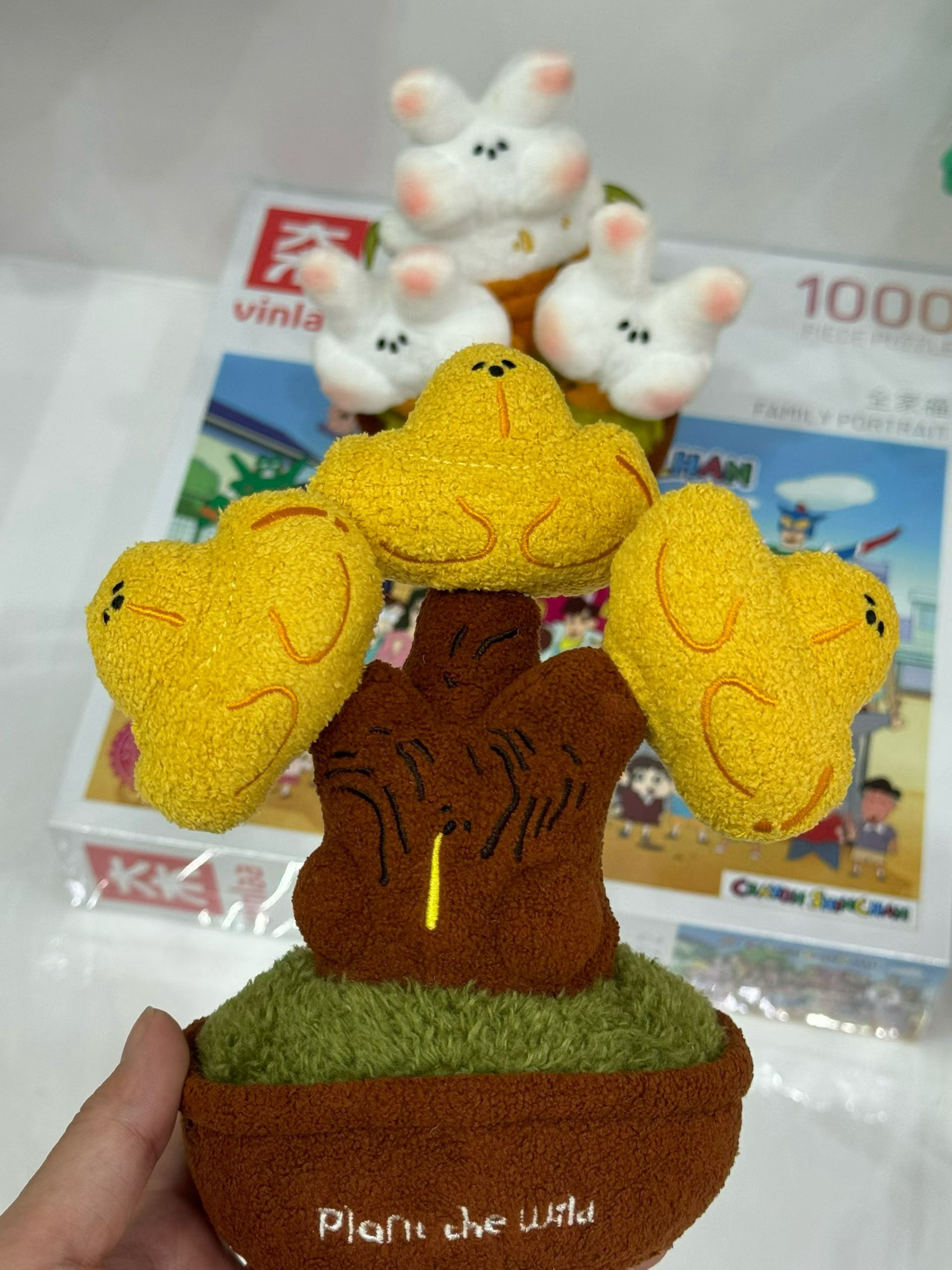 这是一个发财树 