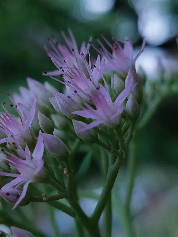 男女都是同样养大的，为啥要求女方必须伺候公婆，伺候男人一家老小，男人却不用伺候岳