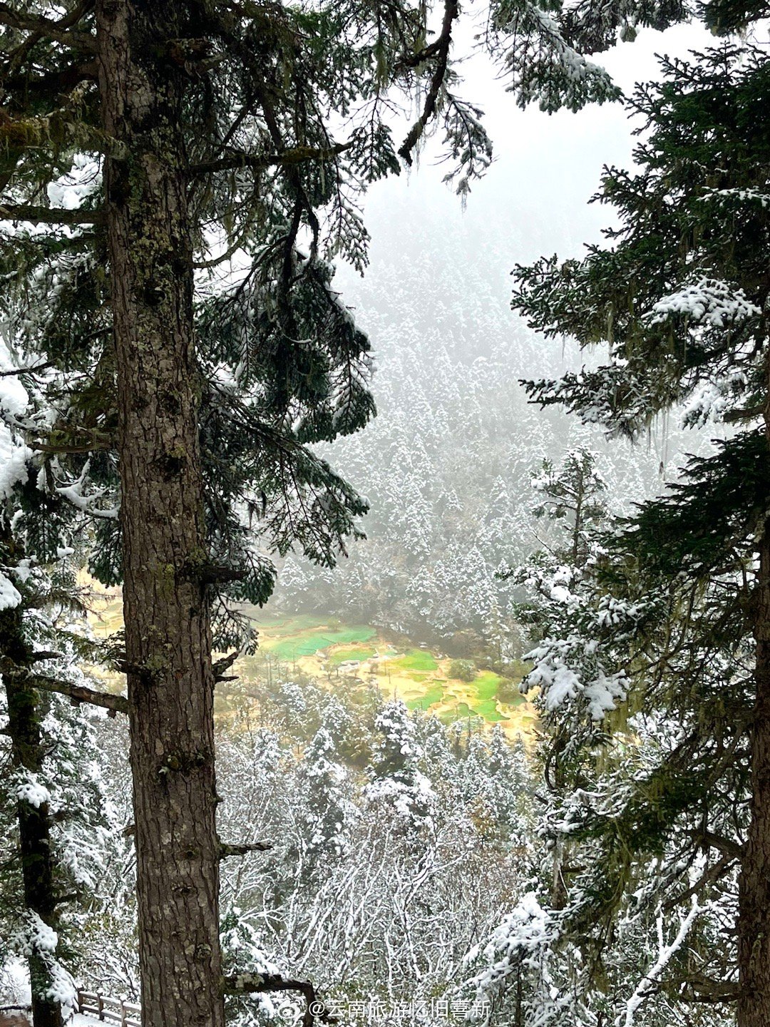 在昆明很少有机会看到雪，我们去黄龙风景名胜区的时候正好下雪，#这个冬天这么玩# 