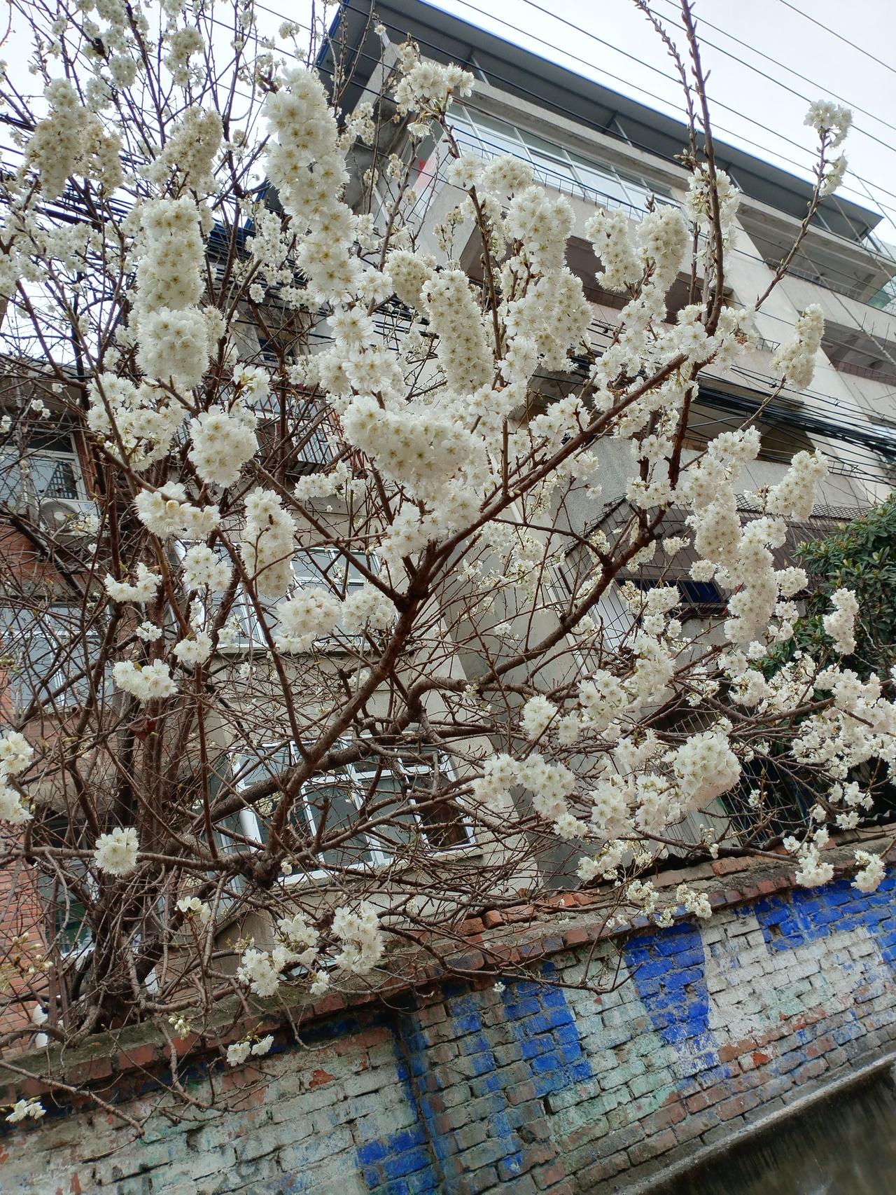 号称“西北小江西南”的汉中，随着春天的脚步渐近，大地开始披上了一层嫩绿色的外衣。