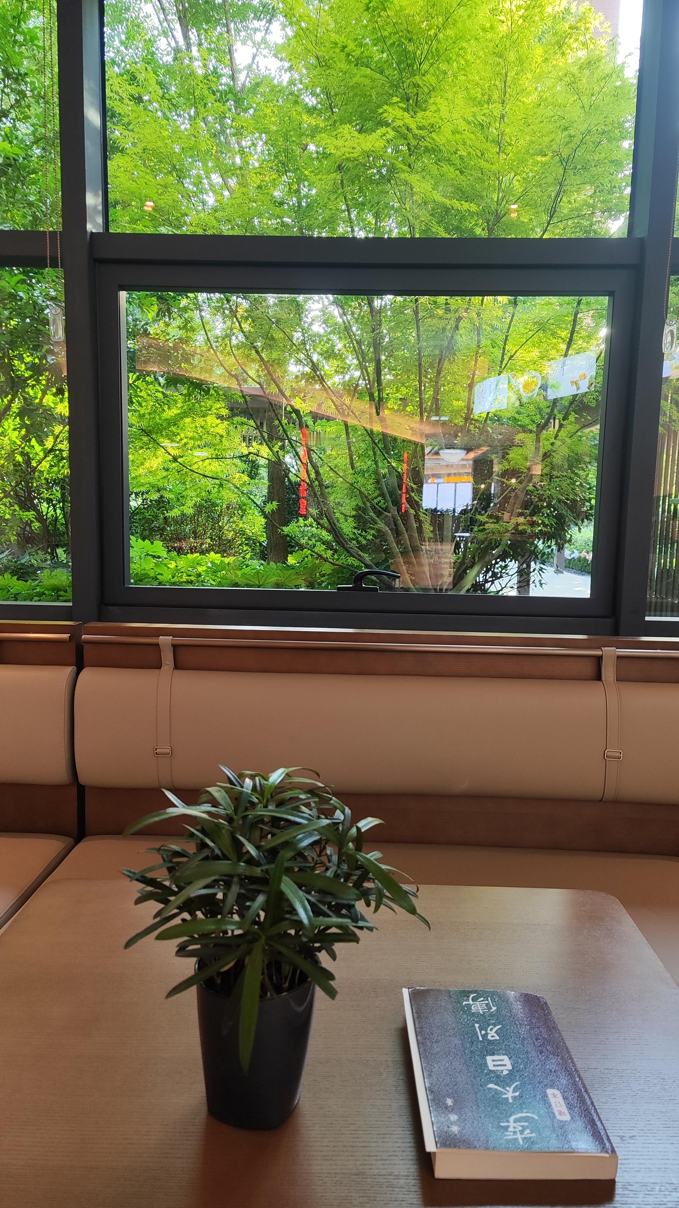 【用过的碗筷最好4小时内清洗】碗筷泡久了细菌会翻倍增殖 细菌进入新环境后，约1~