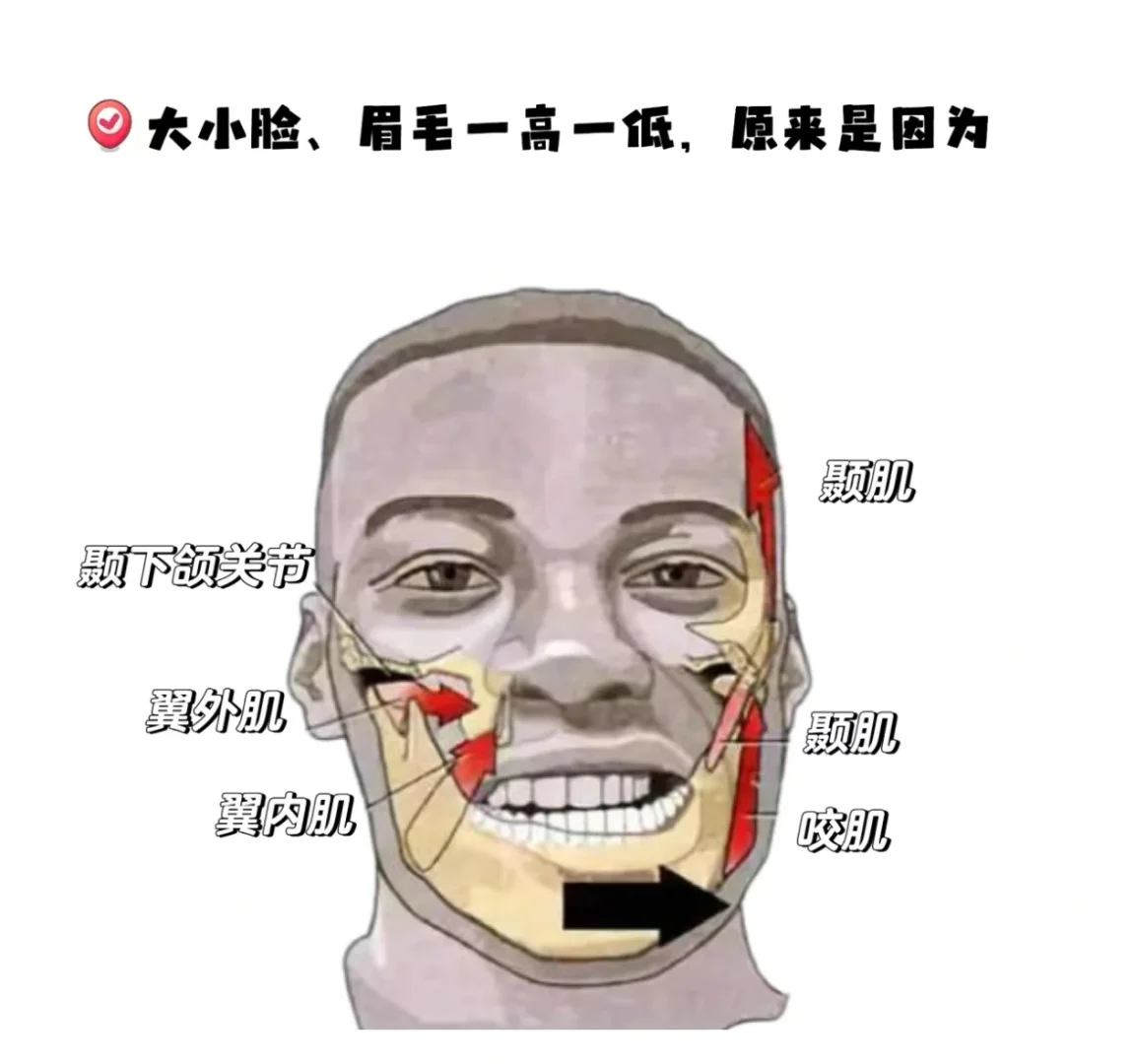 颞下颌关节周围软组织会影响力学失衡