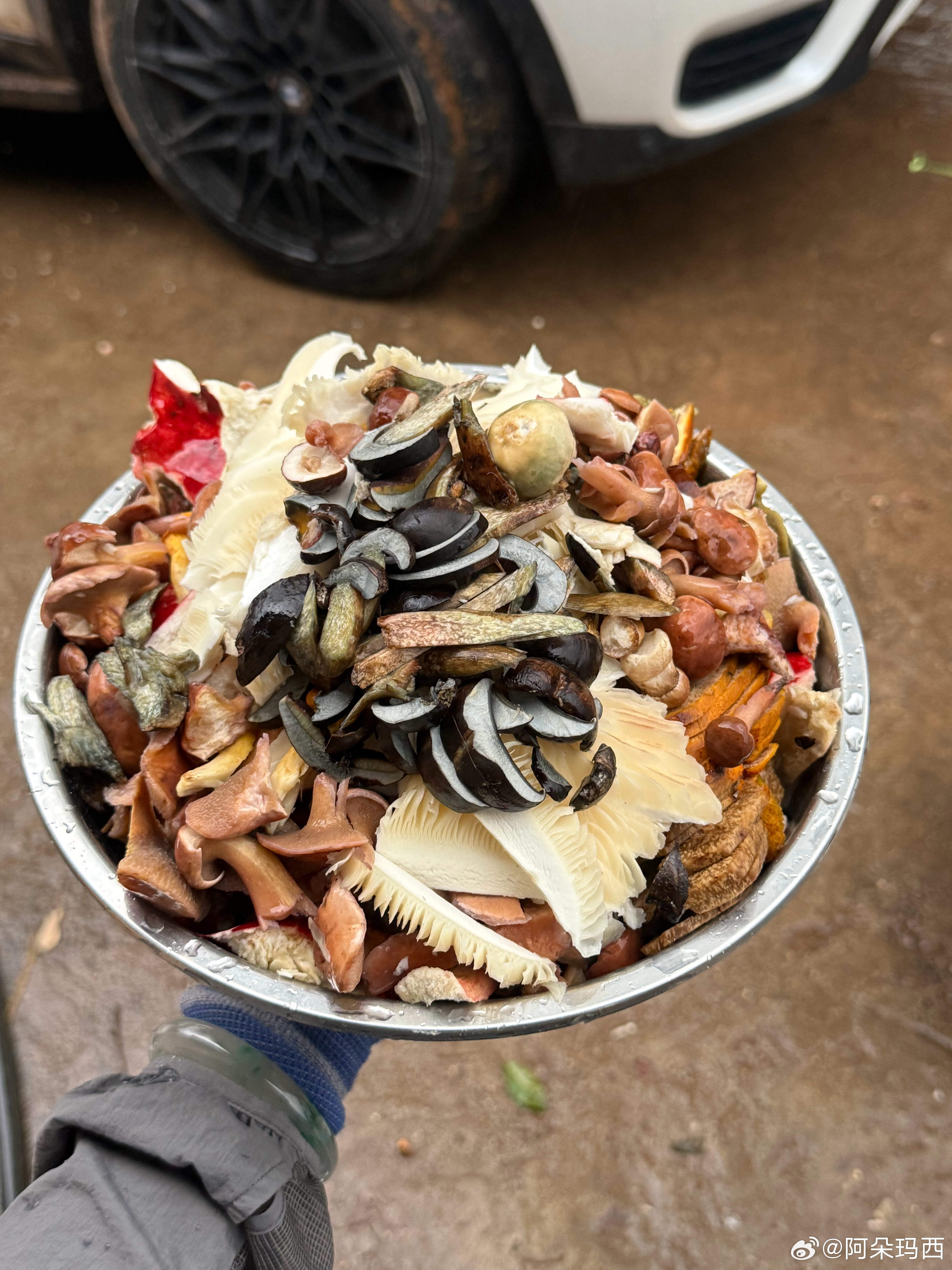 我的饭菜 楚雄·牟定