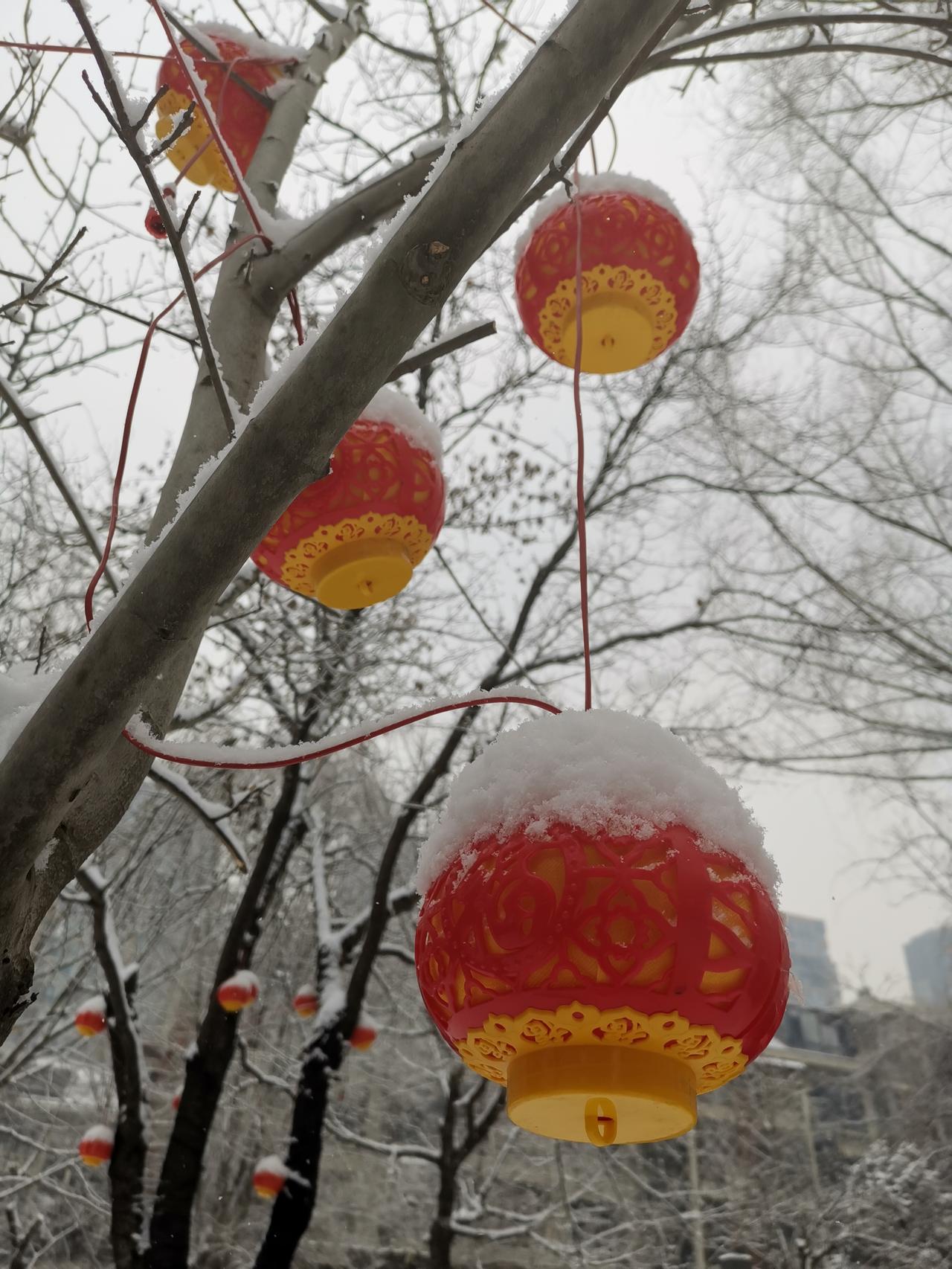 分享今日街头美景今日沈阳雪打灯