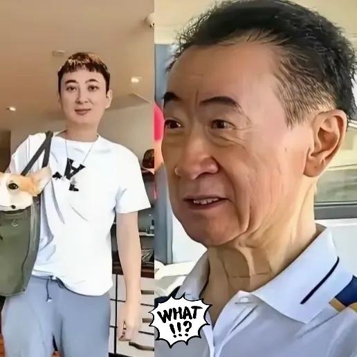 难怪王思聪能安心看女团，
原来王健林早把万达的翻身棋下活了！
 
12月刚开头，