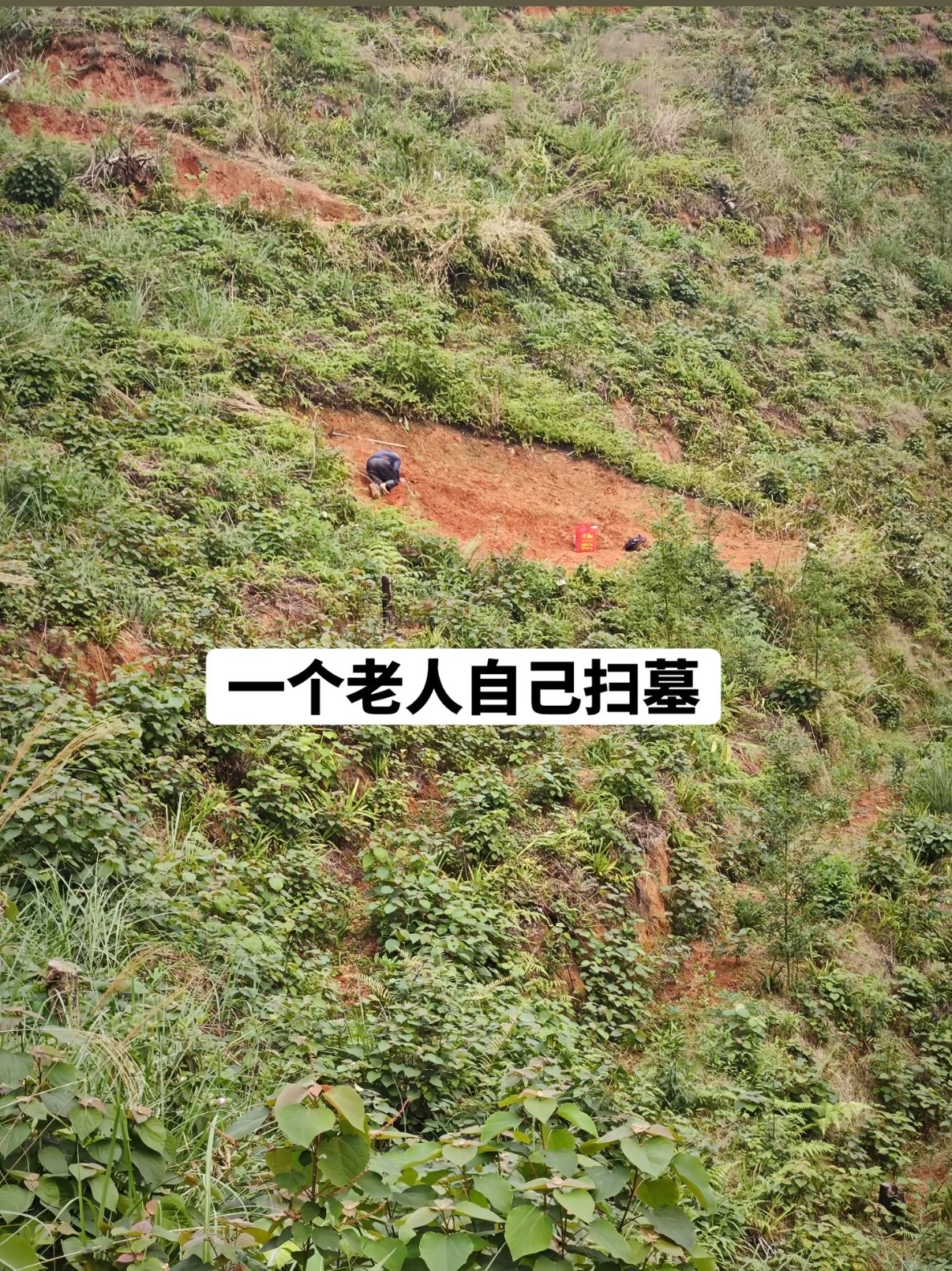 孤独是人类一生都学不完的课题清明祭祖，下山时候看到对面山腰有一个老人家，只有他一