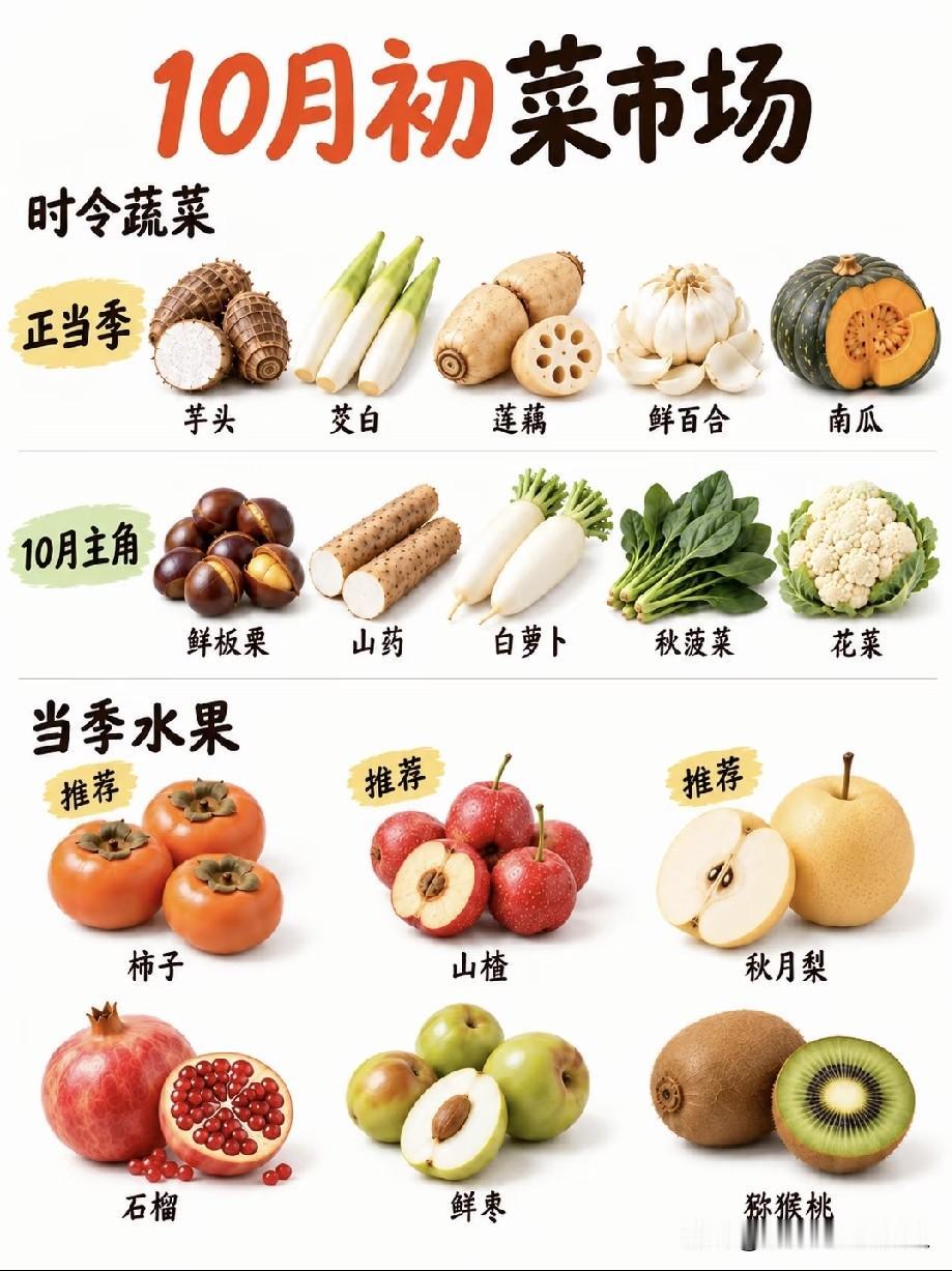 10月菜品来了，照着买