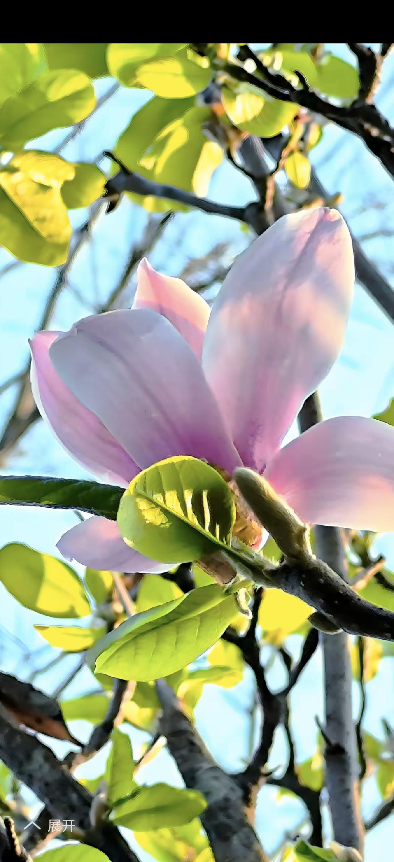 “你陪伴着我，我也牵手一生”，这大概是爱情最美的模样。年少时，总觉得爱情应如烈火