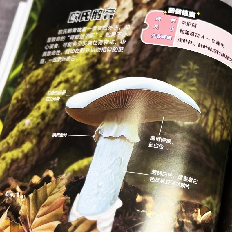 知書club 前言丨自然界中隐藏着无数令人惊叹的生命奇迹，而蘑菇，就是大自然中最