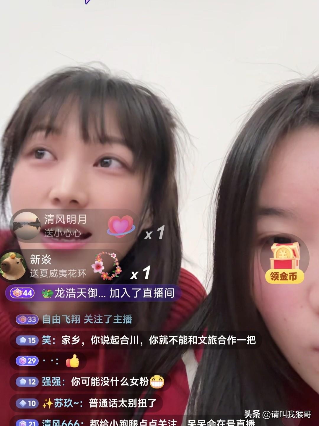 今天又看到合川呆呆在直播，不过这次她是做客她朋友的直播间，还是一如既往的在直播间