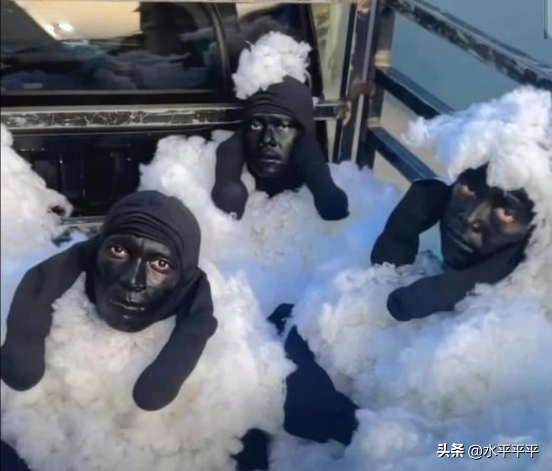 你见过假扮成绵羊的偷渡者吗？
如图是被发现的从阿尔及利亚企图偷渡至西班牙的几个老