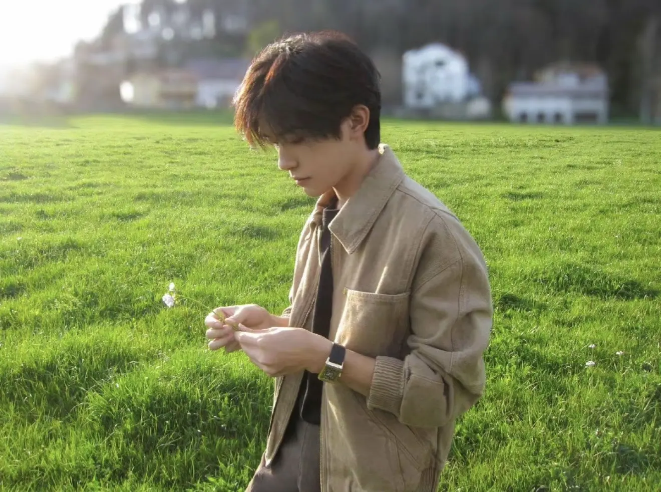温柔又有生命力的一组壁纸。玺子太帅了✨喜欢的姐妹自取哦😍