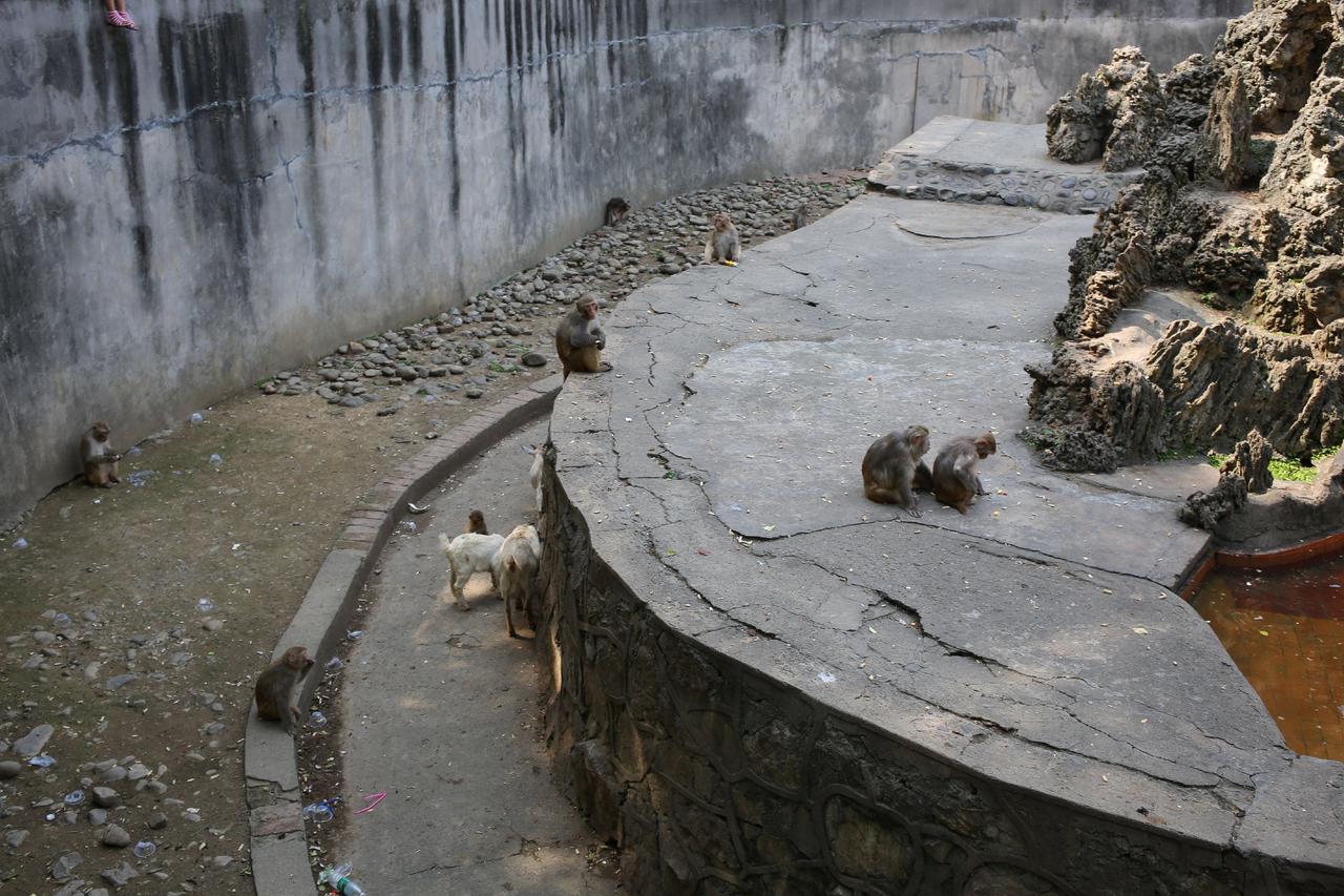 宜昌 宜见钟情心动宜昌  城市记忆 老照片 儿童公园