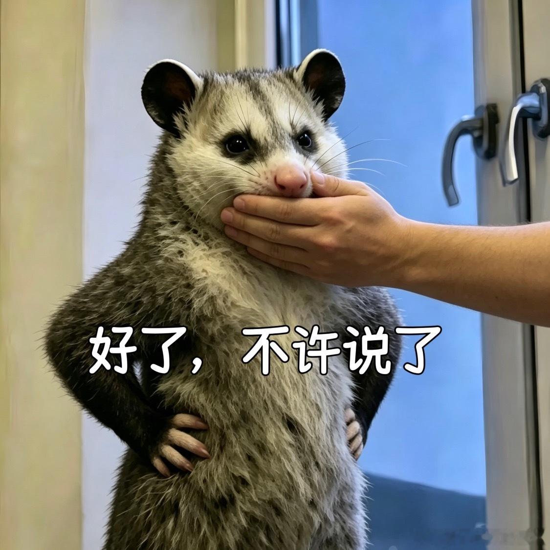 男频剧拿不到番位优势，扯男女开始打🥊，开除万花，好像鞠姐不是大女主一样。别人有