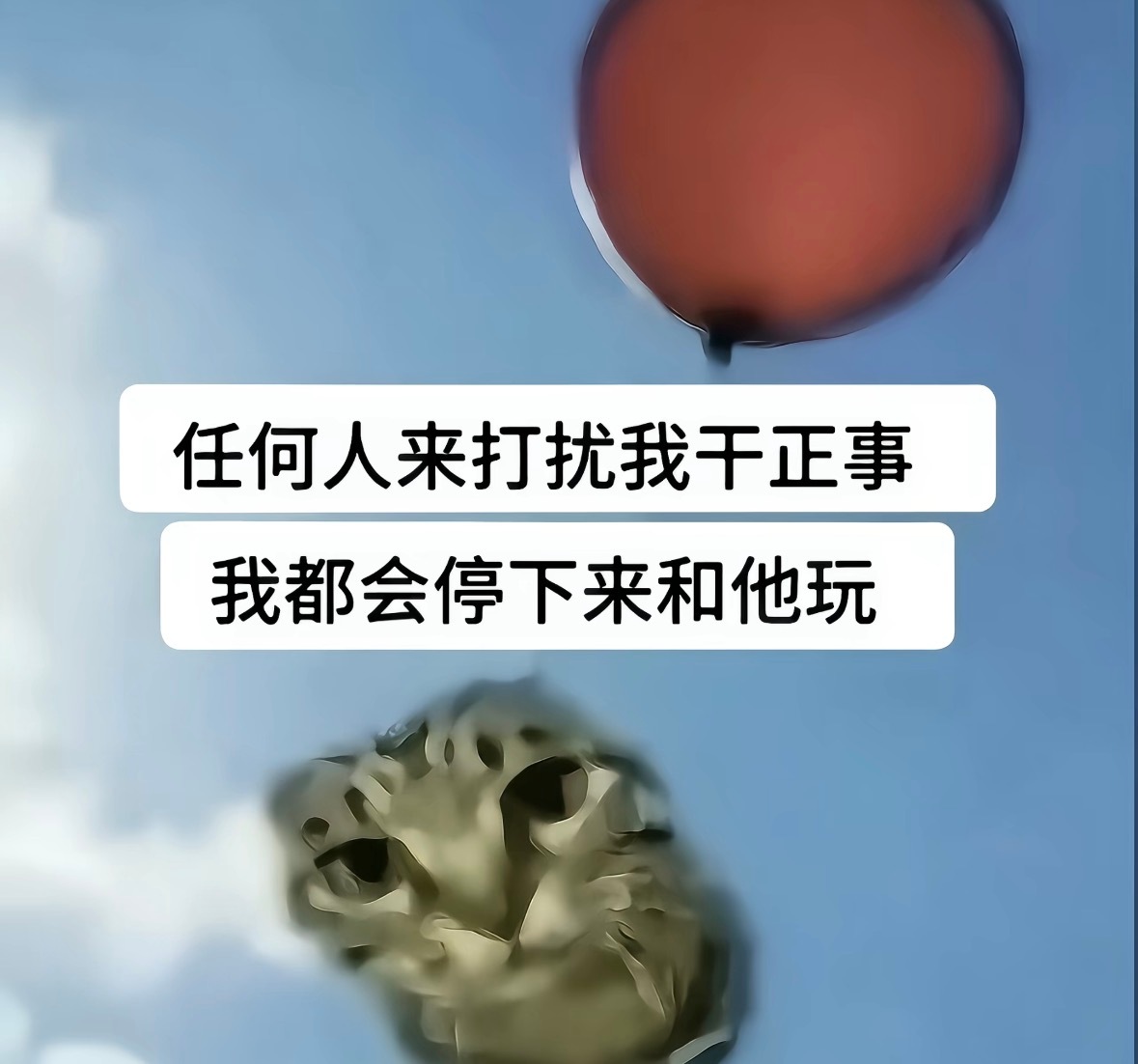 分享图片 ​​​