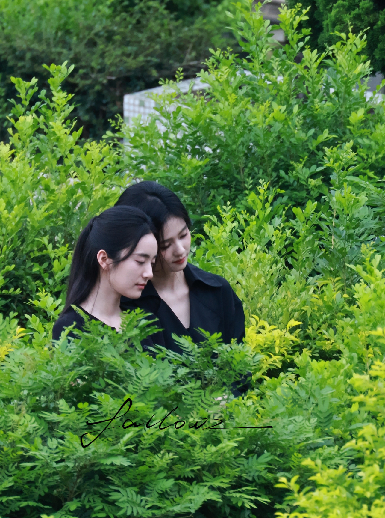 想和白梦妍头靠头，被搂着