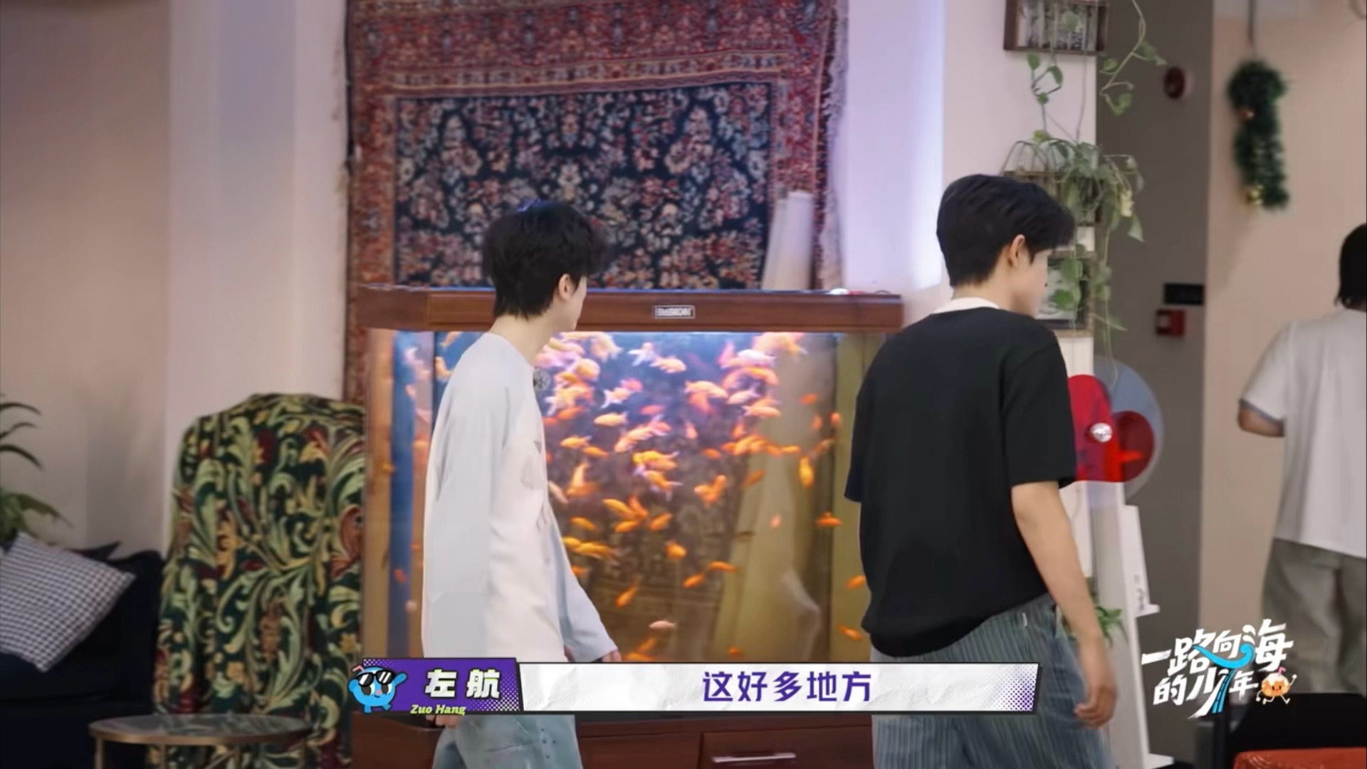 看他俩在一块我就会很舒服 ​​​