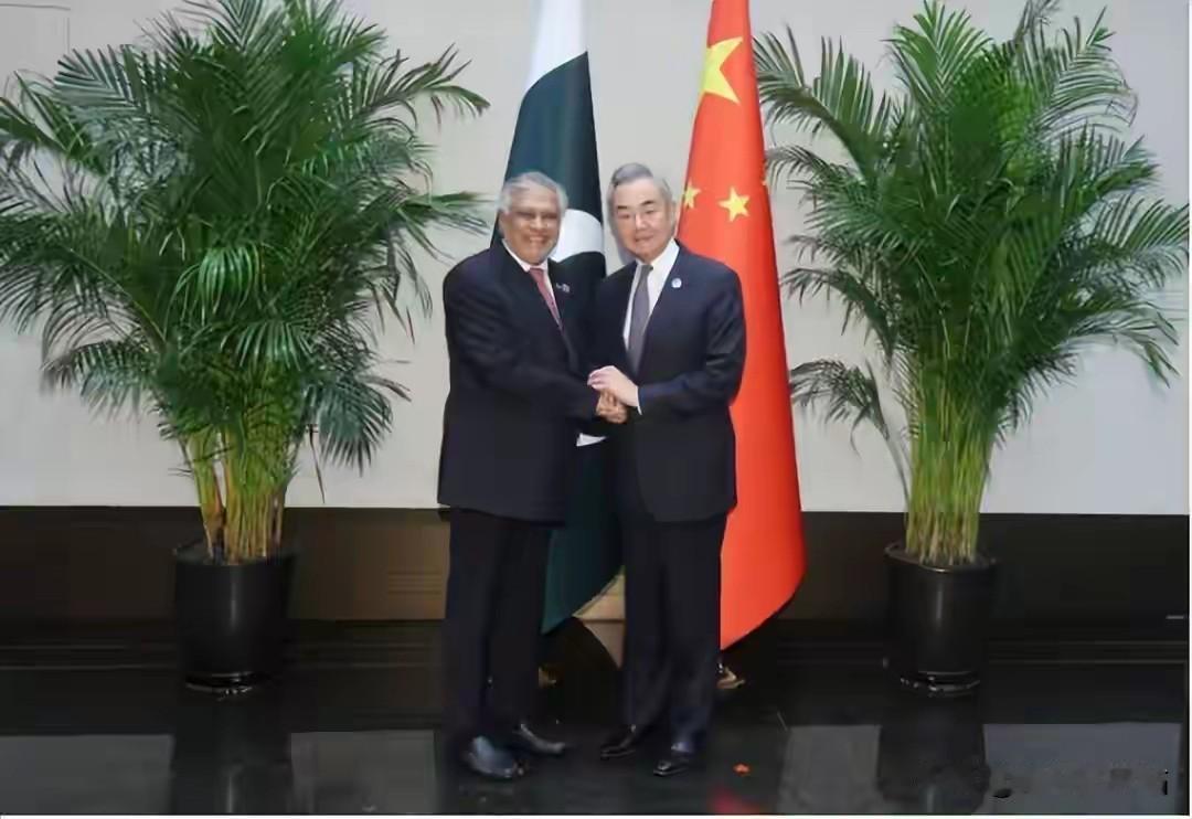 AI格局迎来大变革！巴铁紧跟中国入局新国际组织，美国芯片垄断优势岌岌可危
 
很