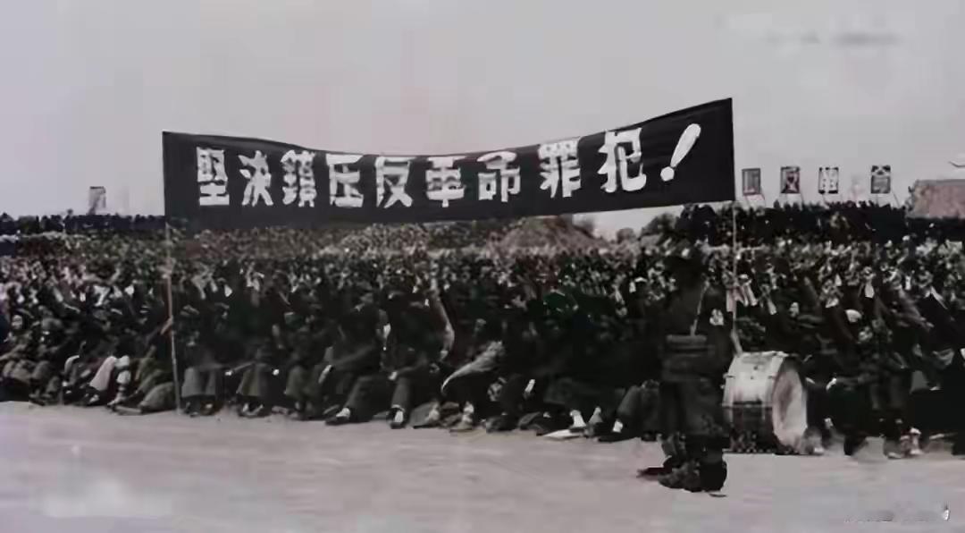 有人说要恢复反革命罪，我反对！
最近无论是在网络，还是在线下的社会上，总能看到极