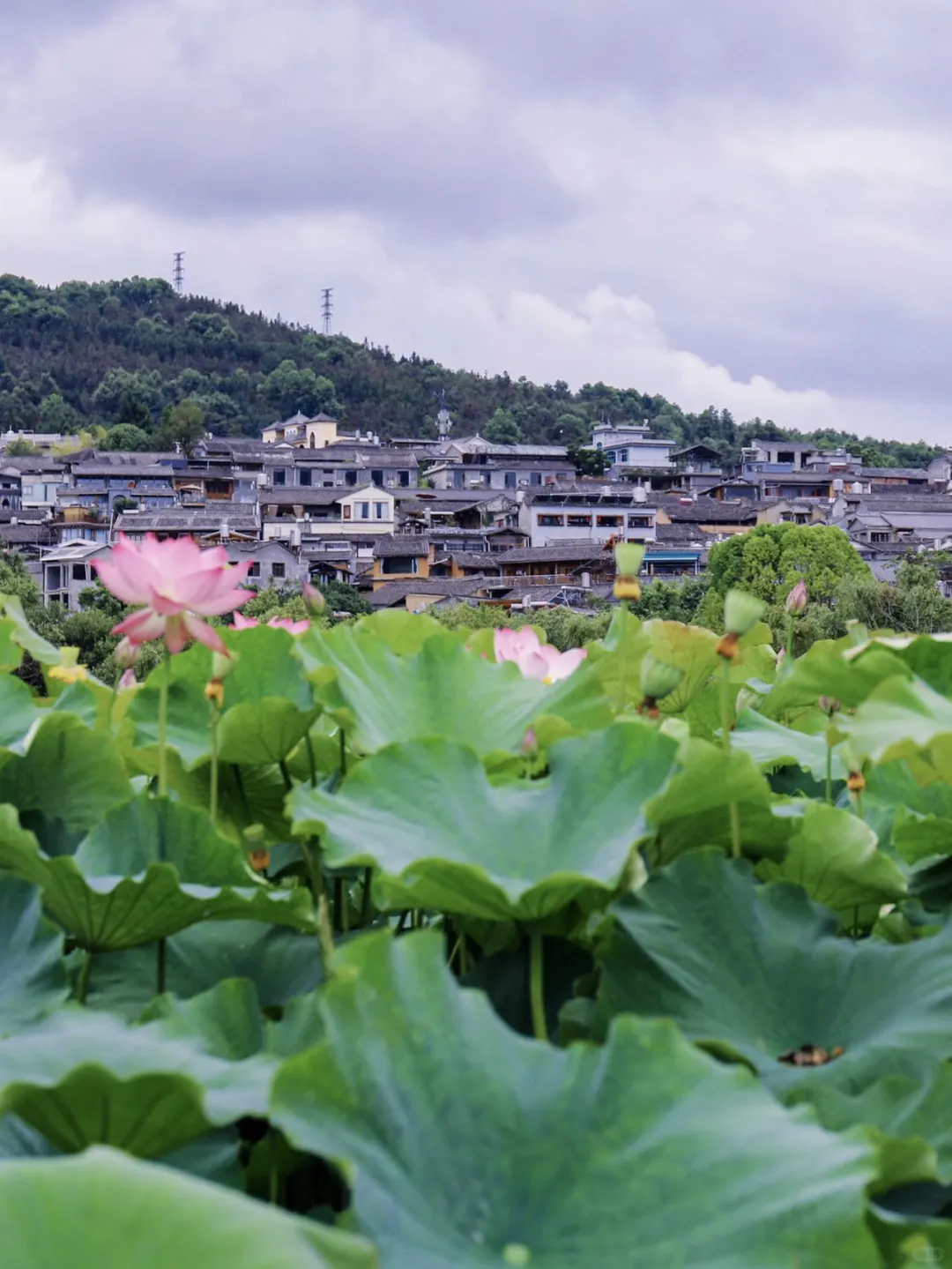 爱上腾冲和顺古镇🏡夏天的美好在这里