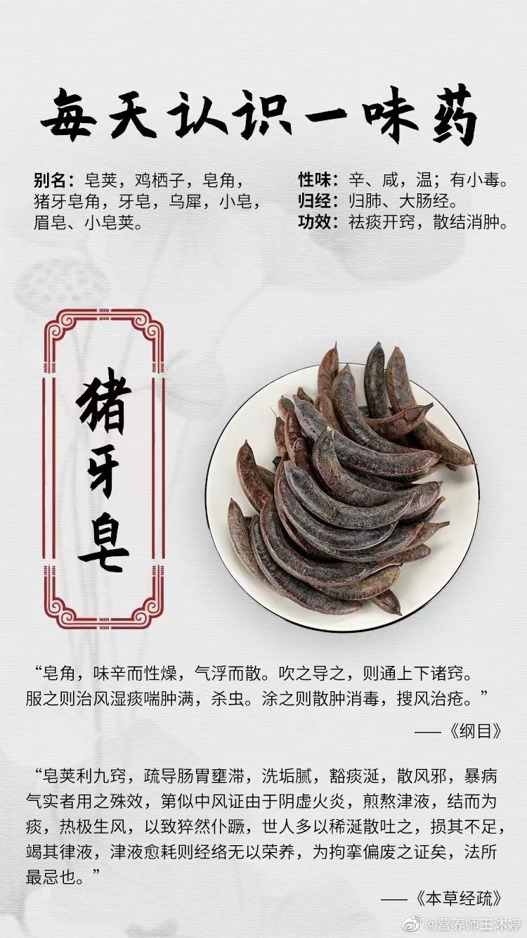 #国医的精诚力量##每天一味中草药##论道岐黄# ☘️【每天认识一味药】   猪