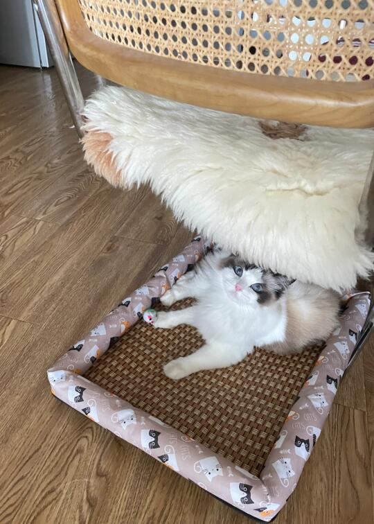 看我位置找的好不好
