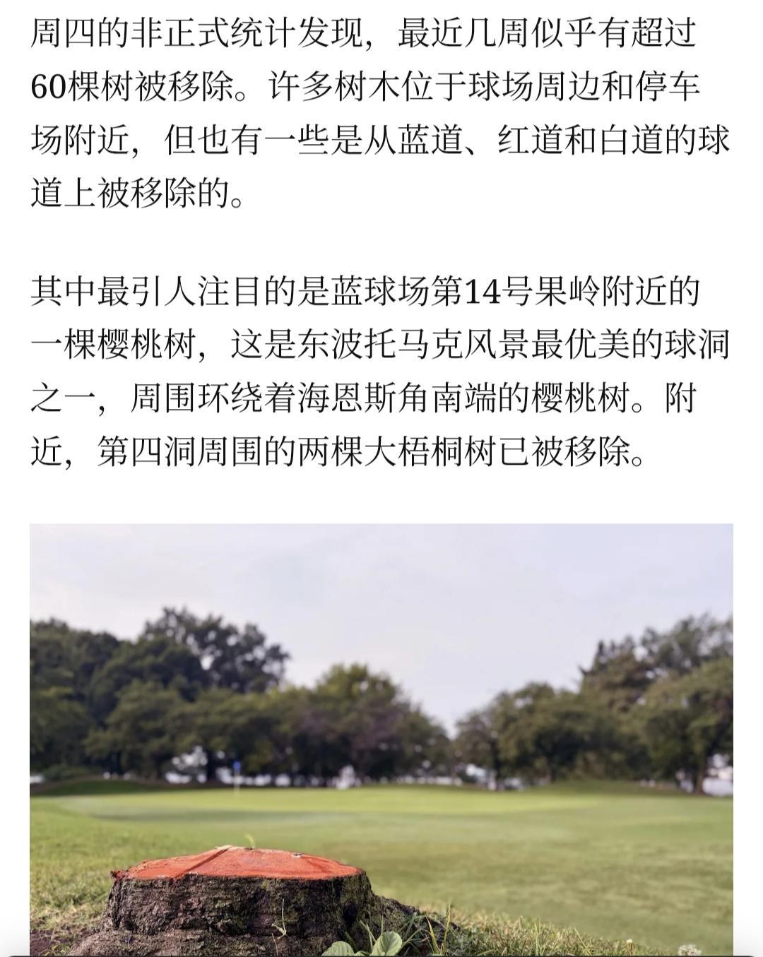 特朗普根本不顾及日本人的面子，直接砍掉了樱花树
据国内部分媒体引用《印度斯坦时报