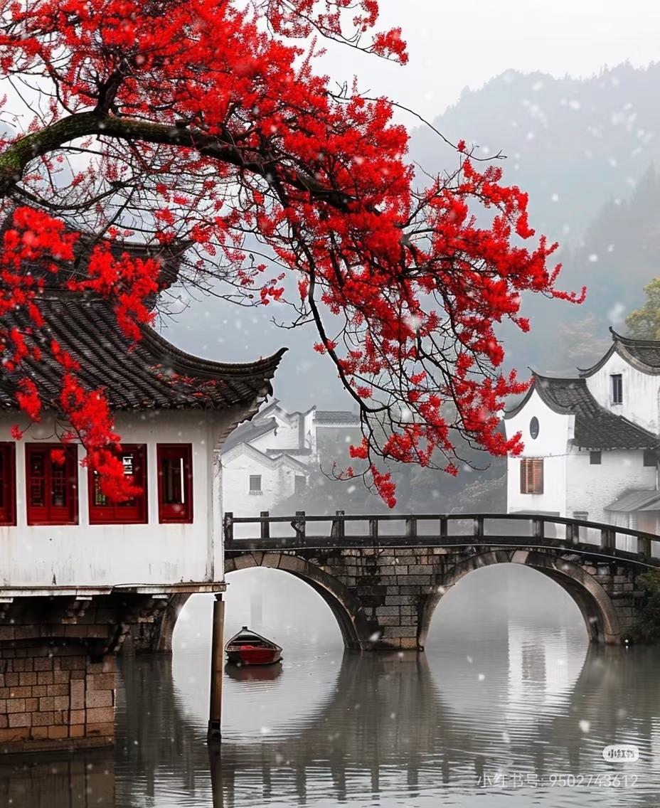 雪中红叶映白墙，江南水乡如画卷。

      烟雨朦胧，小桥流水，乌篷船轻摇碧