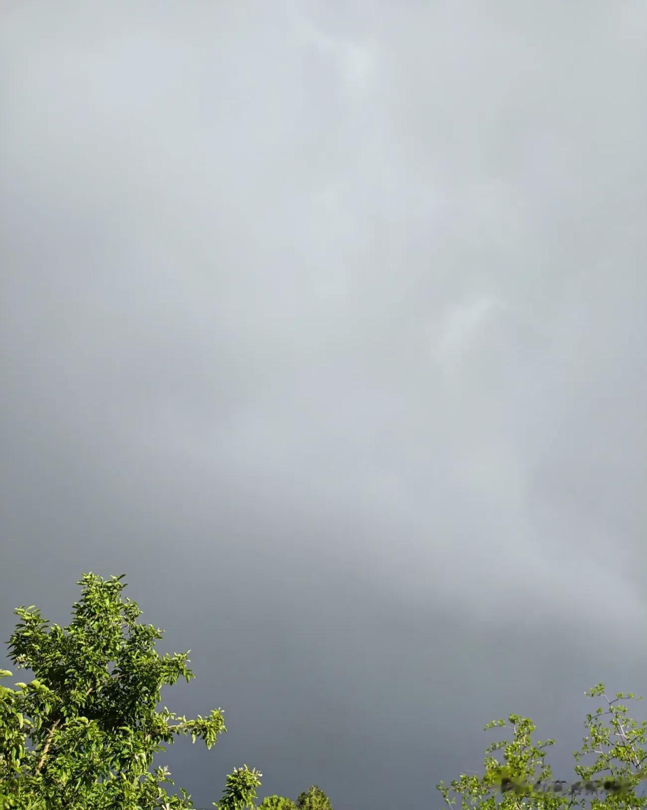变天了！突然间狂风大作，乌云骤起，雷声震天响，好像要下大雨？