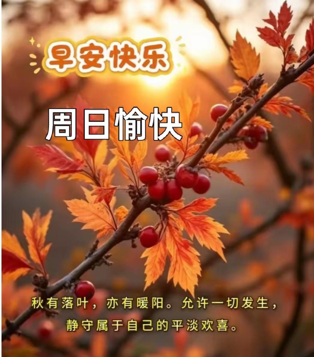 周日早安☀️
 
很多人喜欢清晨的一句安康祝福，
不是文字有多华丽，而是自带一份