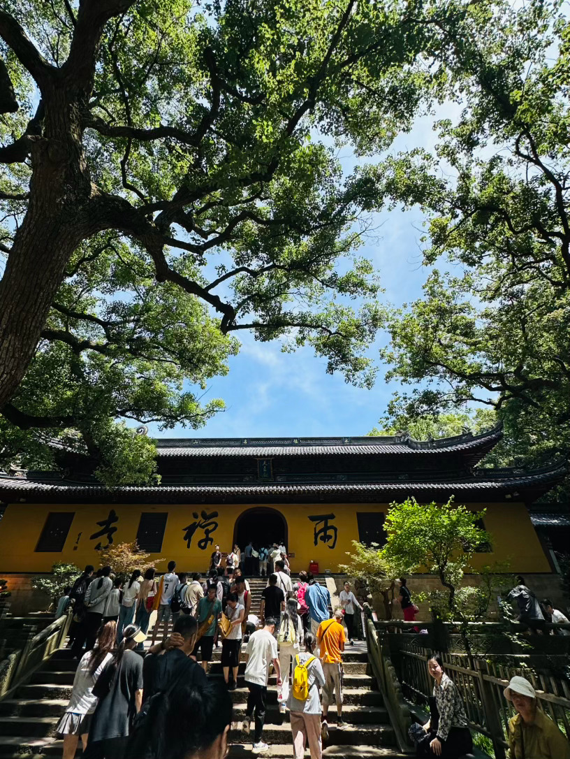 旅行 岛上在修路，法雨寺到普济寺的车停开，于是全靠两条腿，一路走到紫竹林，太热太