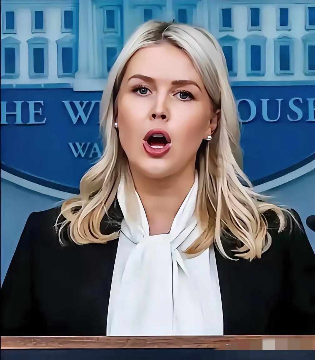 白宫突传重磅消息！美伊巴伊斯兰堡会谈，藏着最残酷的大国博弈
 
白宫传来消息，